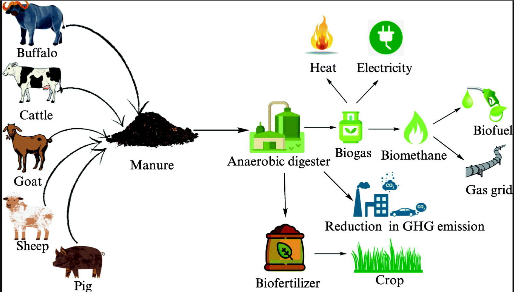 Biomass-based Biogas Generation System Diagram showing Cattle Manure Collection, Anaerobic Digester, Biogas Storage, and Digestate Utilization