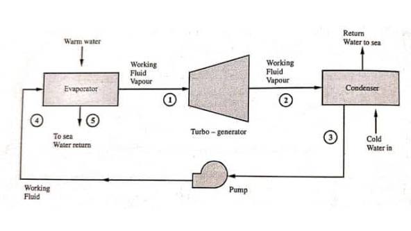 Ocean Thermal Energy Conversion (OTEC) System Diagram showing Evaporator, Turbine-Generator, Condenser, and Pump with warm and cold water flow